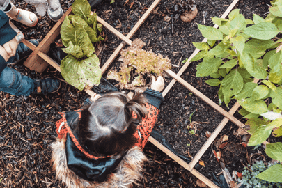 Een moestuin bij Kindergarden