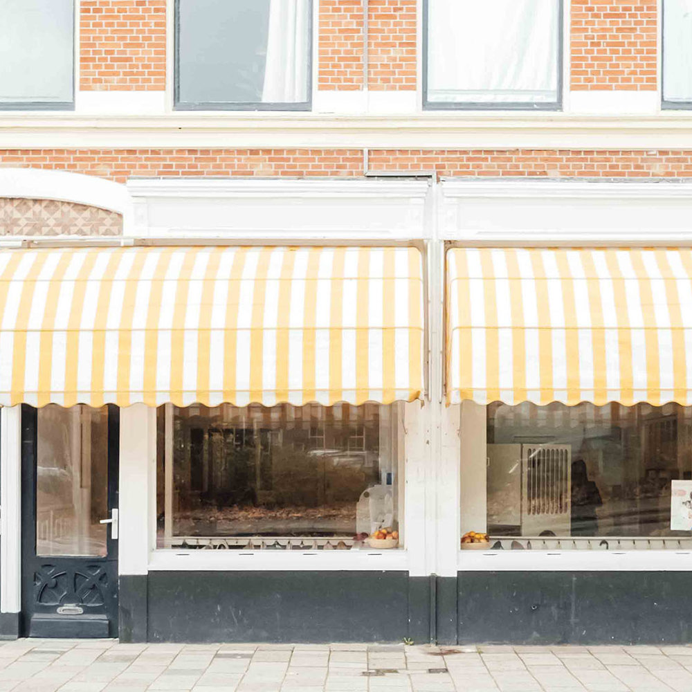 Pedagogisch Professional Kindergarden Bezuidenhoutseweg Den Haag